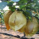 북동농원 이미지