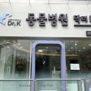 닥터K동물병원 이미지