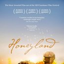 친구카랜드 이미지