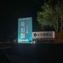 육치미
