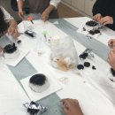 함월초등학교 이미지