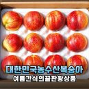 대한민국농수산 복숭아 체험기 여름 간식과 보관까지 한 번에