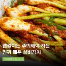 선화동 매운 대전실비김치 파김치맛집 택배후기