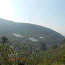 봉촌주유소 이미지