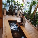 편백효소방 | 서울-의정부 편백나무 찜질방 수락산편백원 효소방 이용 후기