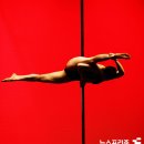 (야)댄스스포츠 이미지