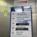 천안 쌍용동 “사진관 해교” 여권사진 잘찍는 곳, 여권 커플사진 후기