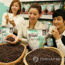 윤종석농장 Daum카페