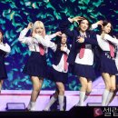 셀럽다이브