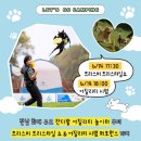 2025 캠핑으로 그린아일랜드 이미지