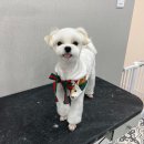 늘, 빛나개 이미지