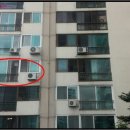 덕진-109 이미지