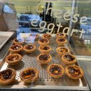 송지호오토캠핑장 이미지