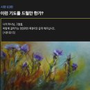 시편 83편 - 이런 기도를 드릴만 한가? 이미지