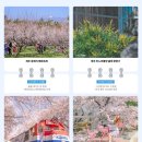 소피텔 앰배서더 서울호텔 앤 서비스드 레지던스 이미지