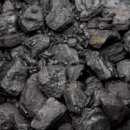 대한사료 노동조합 이미지