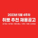 📍 5월 4주차 취뽀 추천 채용공고 (🖤공기업/대기업/중견·중소/인턴/스타트업) 이미지