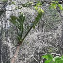 이삭농장3 이미지