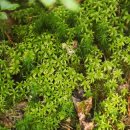 명곡동행정복지센터 이미지