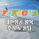 795 | 후쿠오카 대한항공 왕복 탑승기 : KE795, KE796 기내식 후기 및 꿀팁 대방출