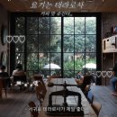 ㅣ숲속에 숨겨진 서귀포 커피맛집, 가족들과 연인끼리 가기 좋은 야외 귤밭 감성 카페 내돈내산 솔직후기