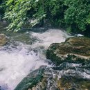 소나무집민박 이미지