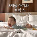 이마트24 신림팔구팔구점 | 8개월 아기와 호캉스 안토리조트(1) 룸컨디션 이유식꿀팁 대여품목 팀버룸 침대 욕조 가습기 소독기 수영복