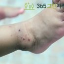 365그린가족의원 이미지