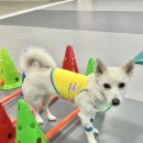 이씨네복덕방 이미지