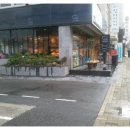 코코로브래드 이미지