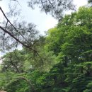 지리산해달원 이미지