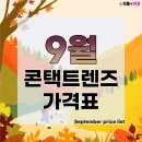 신사콘택트렌즈 이미지