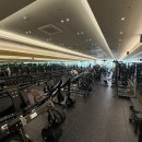 시그널짐 플레티넘 네이버블로그