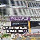 공영 | 울산 삼산 주차 디자인거리 공영주차장 이용 후기 무료 개방 주차 요금