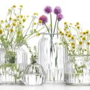 몸과 마음의 균형, 아로마테라피 이미지