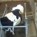 나우농장 이미지