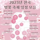 🌸🌸2023년 전국 벚꽃 축제 일정 &amp;벚꽃 개화시기🌸🌸 이미지