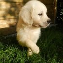 시그널동물병원 이미지