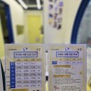 브라이튼독 이미지