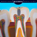 행복한미래치과의원 이미지