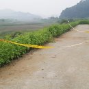 나체