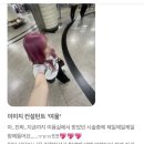 핑크미용실 - 익산시 | 야탑미용실 핑크염색 후기｜한 번쯤 꼭 해보고 싶은 여름 헤어컬러