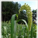 분당노인종합복지관 내 이미지