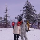 토토농장 이미지