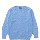 스테디독 이미지