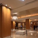 명품대게 레스토랑 | 롯데호텔서울 라세느 뷔페 평일 디너 이용 후기, 할인, 주차정보, 생일 기념