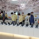 우포 잠자리 나라 이미지