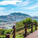 우암동 도시숲 이미지