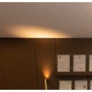 이태림 카카오 검색결과