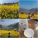 구만제 이동식 | [구례여행] 구례 봄여행 _ 지리산치즈랜드 주말에 갔다가...수선화반, 사람반...ㅋㅋㅋ